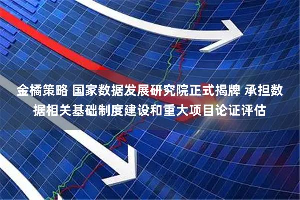 金橘策略 国家数据发展研究院正式揭牌 承担数据相关基础制度建设和重大项目论证评估