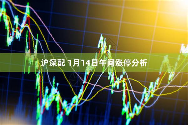 沪深配 1月14日午间涨停分析